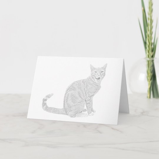 Carte De Voeux Pour Chat De Dessin Au Crayon Zazzle Ca