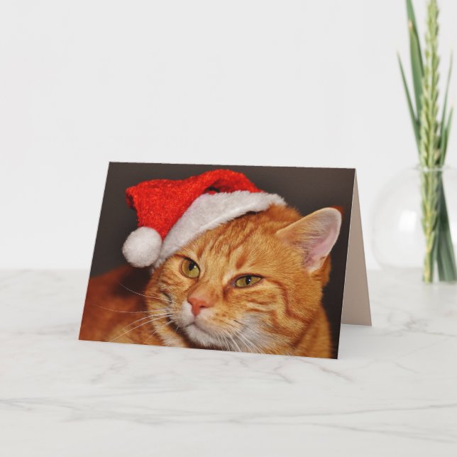 Carte de voeux pour chat de Noël (Devant)
