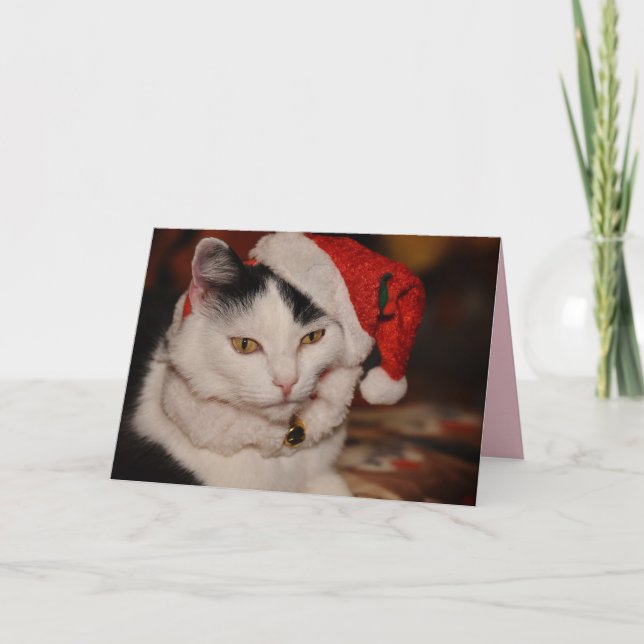 Carte de voeux pour chat de Noël (Devant)