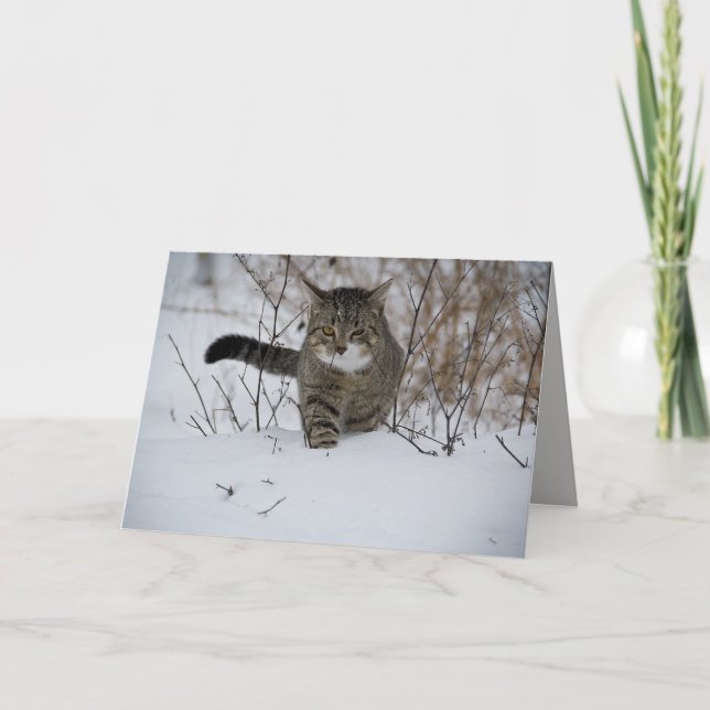 carte de voeux pour chat d'hiver (Devant)