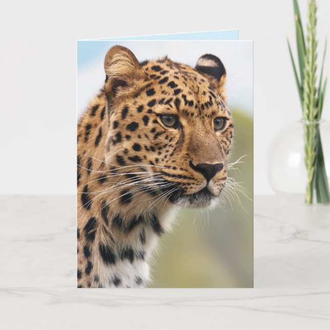 carte de voeux pour chat jaguar (Devant)