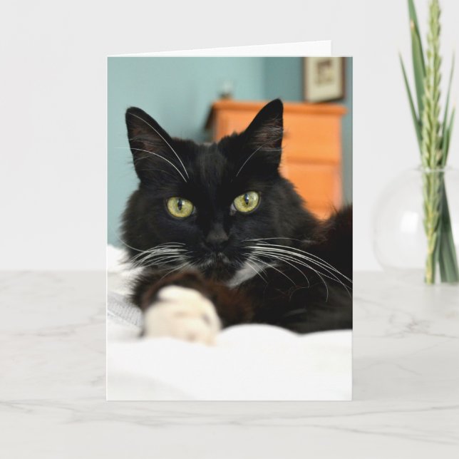 Carte de voeux pour chat noir (Devant)