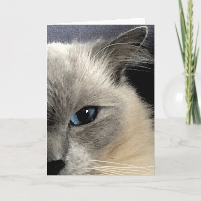 Carte de voeux pour chat Ragdoll (Devant)