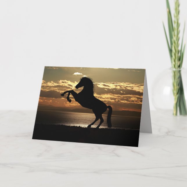 carte de voeux pour cheval couché de soleil (Devant)