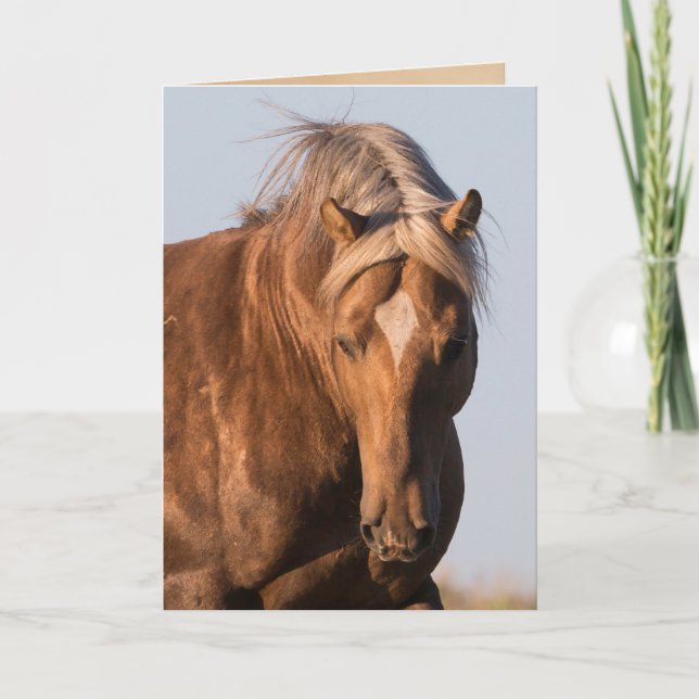 Carte de voeux pour Cheval sauvage de la Fierté de (Devant)
