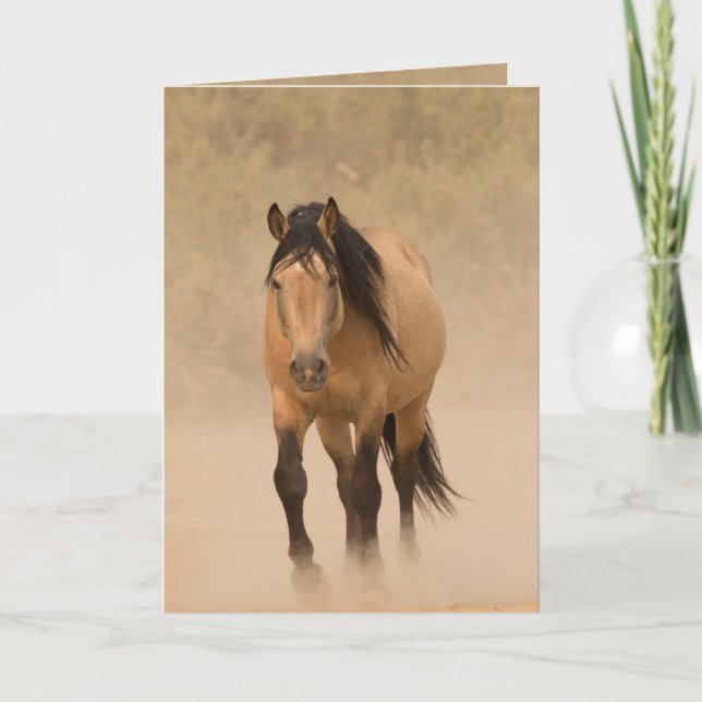 Carte de voeux pour Cheval sauvage hors de poussiè (Devant)