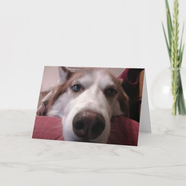 Carte de voeux pour chien (Devant)