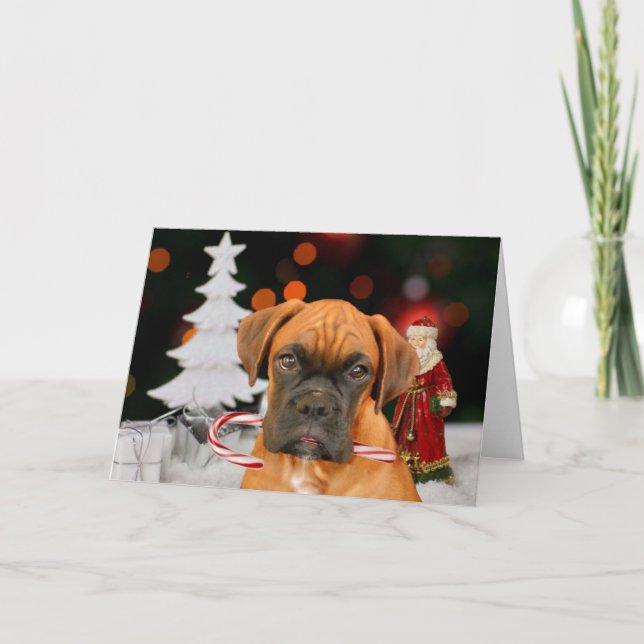 Carte de voeux pour chien de boîte de Noël (Devant)