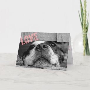 Carte de voeux pour chien de la Saint-Valentin