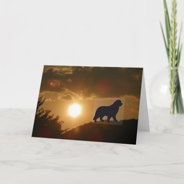 Carte de voeux pour chien de Terre-Neuve (Devant)