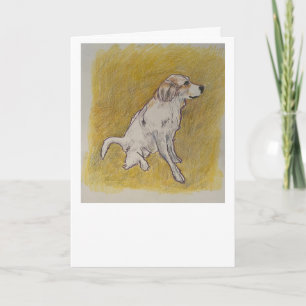 Carte de vœux pour chien des Pyrénées