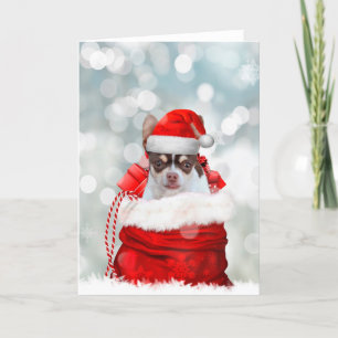 Carte de voeux pour chien du Chihuahua de Noël