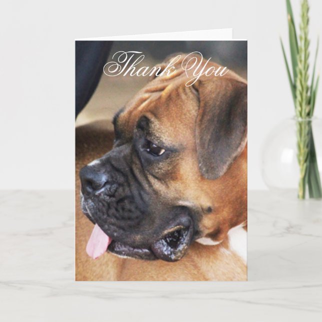 Carte de voeux pour chien Merci Boxer (Devant)