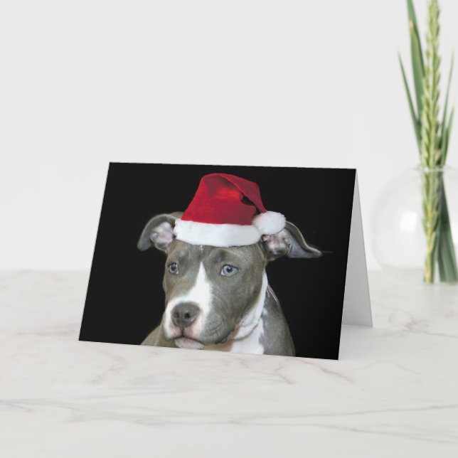 Carte de voeux pour chiot bleu Noël (Devant)