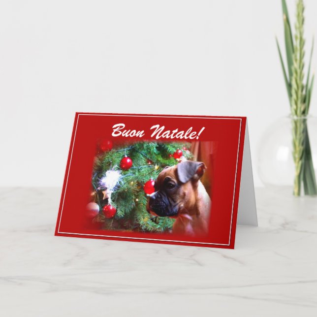 Carte de voeux pour chiot Buon Natale Boxer (Devant)