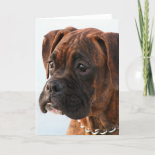 Carte de voeux pour chiot de boxe Brindle
