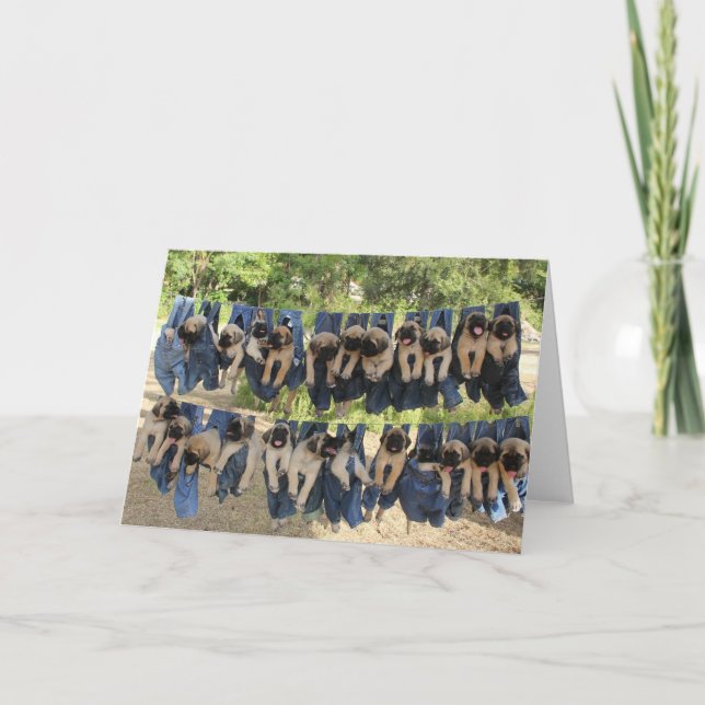 Carte de voeux pour chiot Mastiff (Devant)