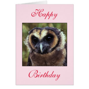 Carte de voeux pour la Chouette d'anniversaire