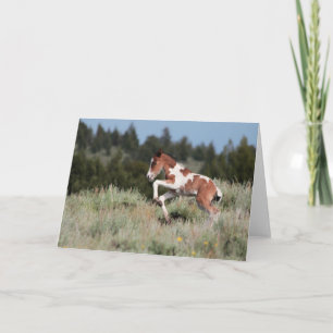 Carte de voeux pour la danse de pluie