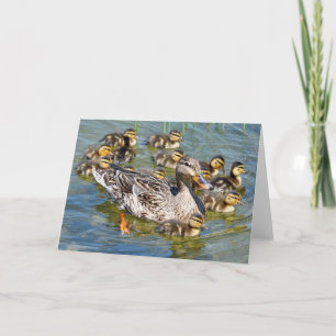 Carte de voeux pour la famille Duck