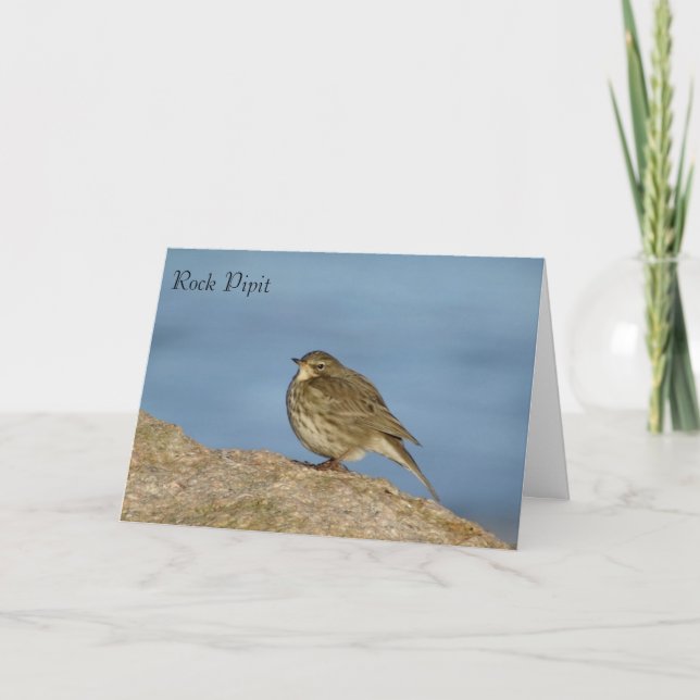 Carte de voeux pour la faune (Devant)