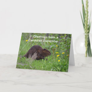 Carte de voeux pour la faune canadienne amusante