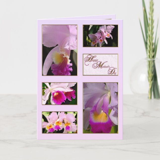 Carte de voeux pour la fête des mères de l'orchidé (Devant)