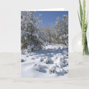 Carte de voeux pour la forêt d'hiver de neige
