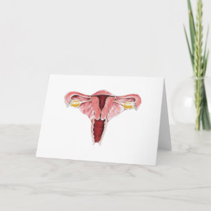 Carte de voeux pour la reproduction féminine