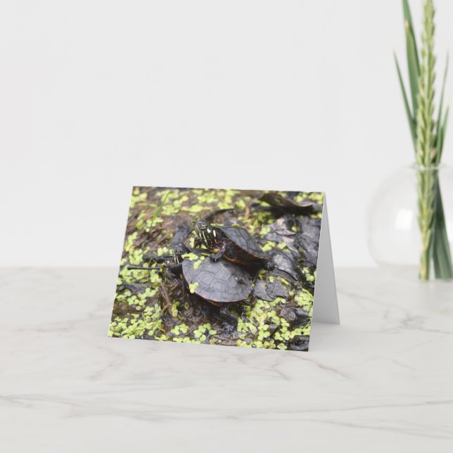 Carte de voeux pour l'amitié des tortues (Devant)