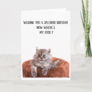 Carte de voeux pour l'anniversaire de chat mignon