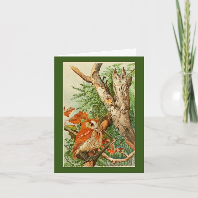 Carte de voeux pour l'anniversaire de deux Chouett (Devant)