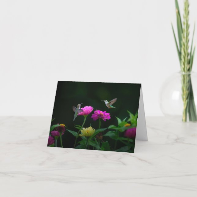 Carte de voeux pour l'anniversaire de deux colibri (Devant)