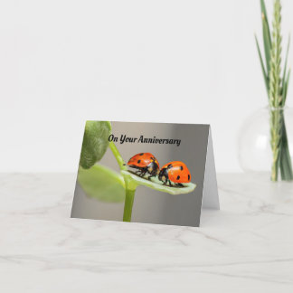 Carte de voeux pour l'anniversaire de Ladybug
