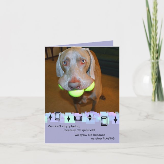 Carte de voeux pour l'anniversaire de Weimaraner (Devant)