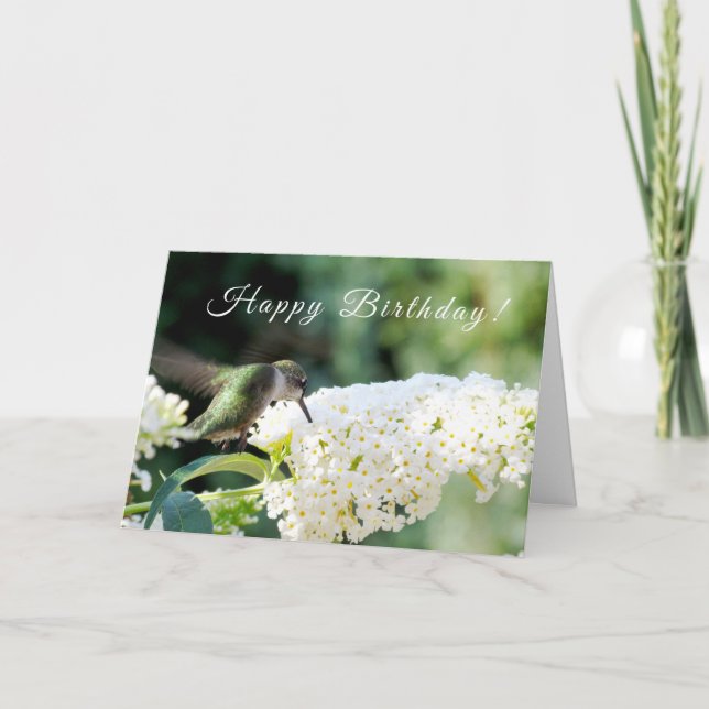 Carte de voeux pour l'anniversaire des colibris (Devant)