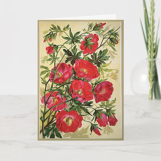 Carte de voeux pour l'anniversaire des pavots flor (Devant)