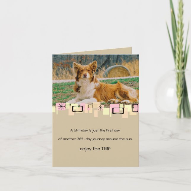 Carte de voeux pour l'anniversaire du berger austr (Devant)