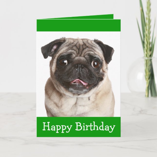 Carte de voeux pour l'anniversaire du chien coquel (Devant)