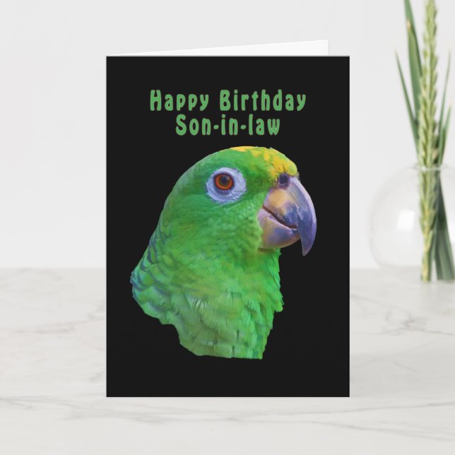 Carte de voeux pour l'anniversaire du perroquet ve (Devant)