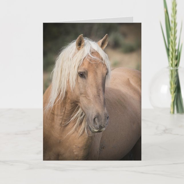 Carte de voeux pour le Cheval sauvage - Portrait d (Devant)