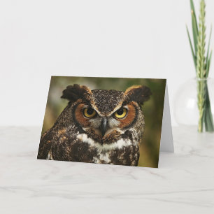 Carte de voeux pour le grand hibou à cornes