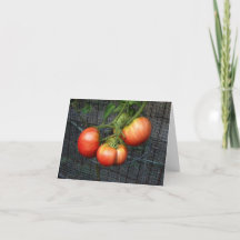 Carte de voeux pour le jardin de tomates en thérap