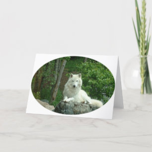 Carte de voeux pour le loup arctique
