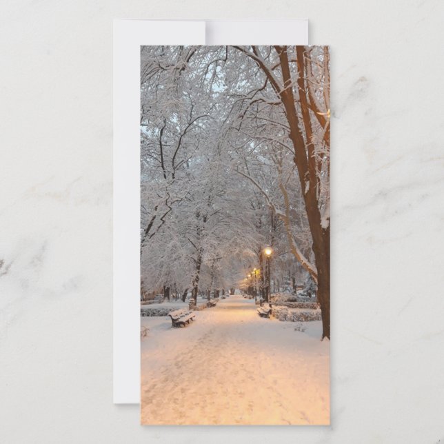 Carte de voeux pour le parc d'hiver de neige (Devant)