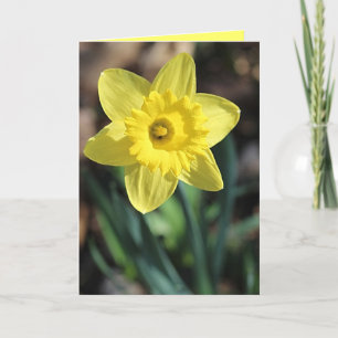 Carte de voeux pour le printemps!