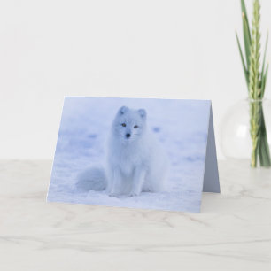 carte de voeux pour le renard arctique