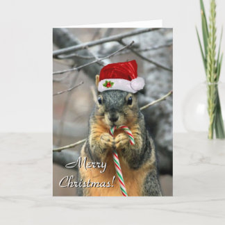 Carte de voeux pour l'écureuil de Noël