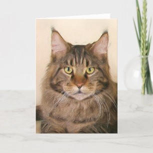 Carte de voeux pour les chats à coon du Maine