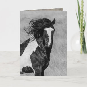 Carte de voeux pour les Chevaux Sauvages - Washaki